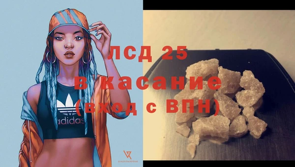 шишки Балабаново