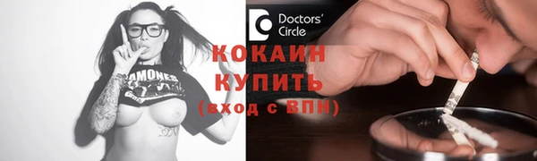 шишки Балабаново