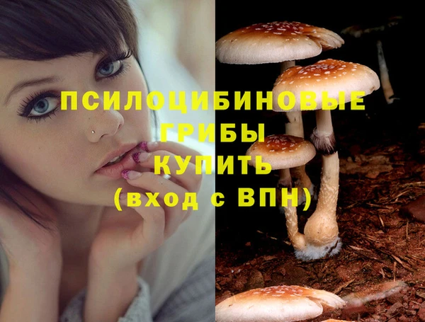 герыч Балахна