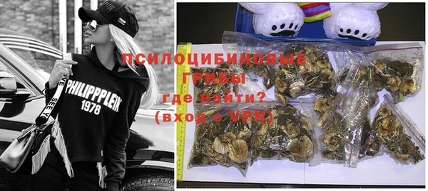шишки Балабаново