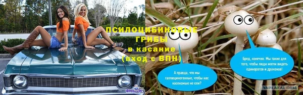 МДПВ Ступино