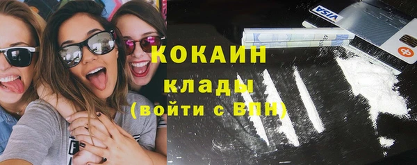 шишки Балабаново