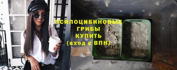 шишки Балабаново