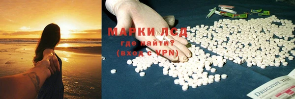 ПСИЛОЦИБИНОВЫЕ ГРИБЫ Строитель