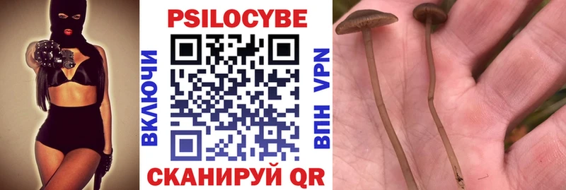 ссылка на мегу ссылки Ладушкин Псилоцибиновые грибы прущие грибы сколько стоит